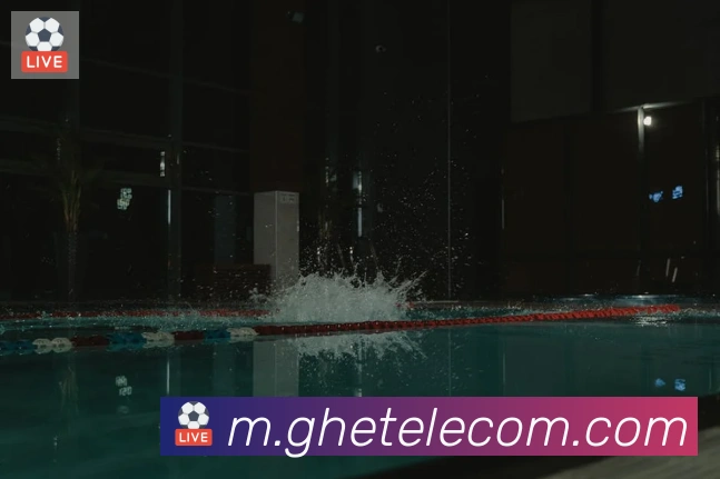 华体育app官网登录入口荣誉