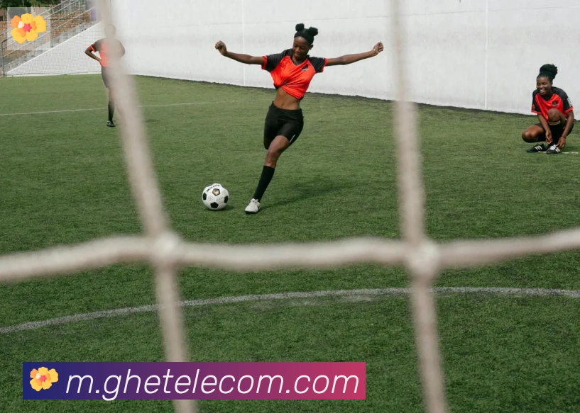 华体育app官网登录入口荣誉