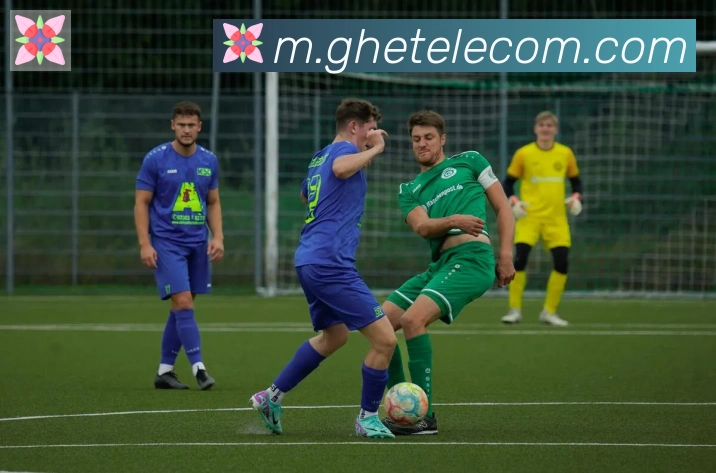 华体育app官网登录入口荣誉