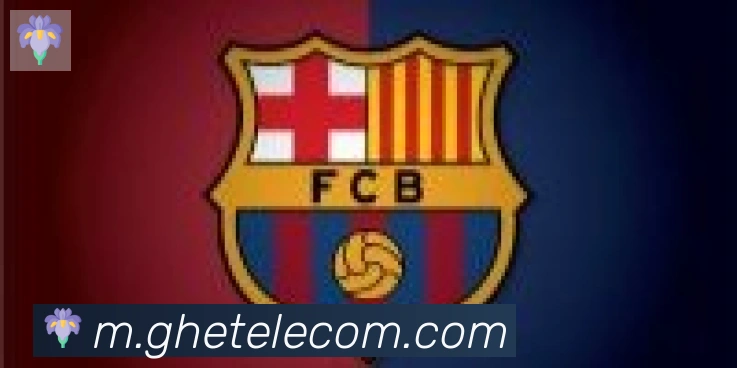 华体育app官网登录入口合作伙伴